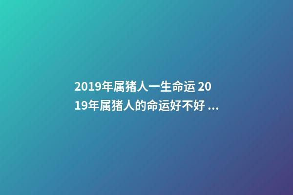 2019年属猪人一生命运 2019年属猪人的命运好不好 属猪人2019年运势-第1张-观点-玄机派